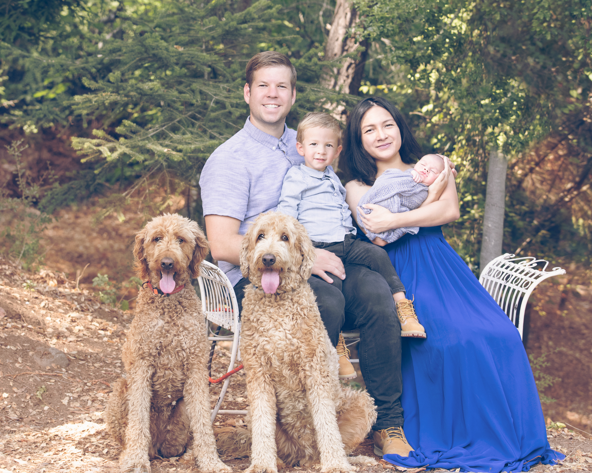 Family of 4 posing outdoors. Mom wears blue dress while holding newborn girl. Dad wears purple T-shirt while holding toddler boy on purple T-shirt. 2 brown dogs are sitting next them.