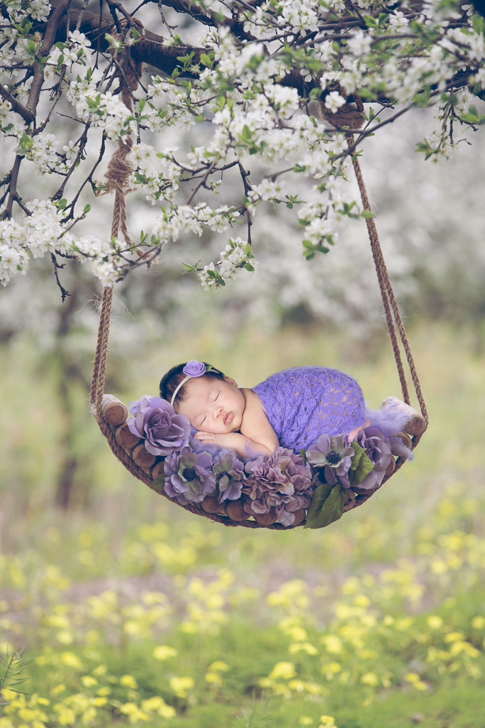 Newborn rests on wood hammock that hangs from a branch tree. Wears purple wrap and purple headband. White and yellow flowers decorate the scene.
