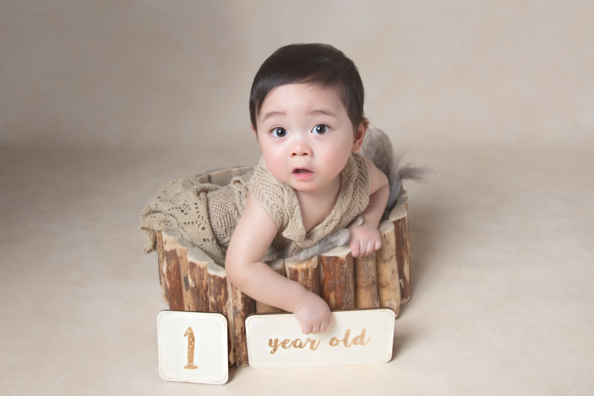 One year old baby boy sitting on prop holds a 1 year old sing. Light brown backdrop