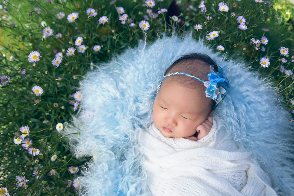 Newborn rests outdoors while wearing white wrap. Blue fluffy carpet and margaritas flowers decorates the scene.