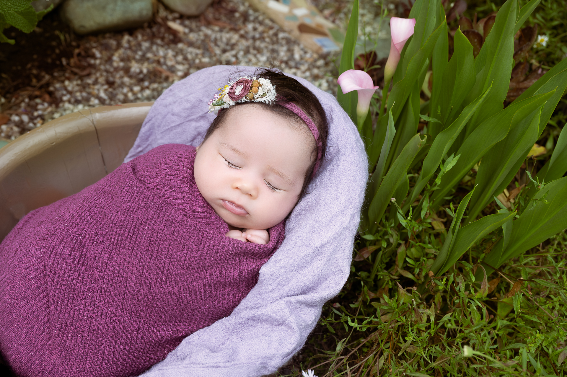 Newborn girl rests on a prop outdoors while wearing a purple wrap. Two pink flowers decorating the scene.