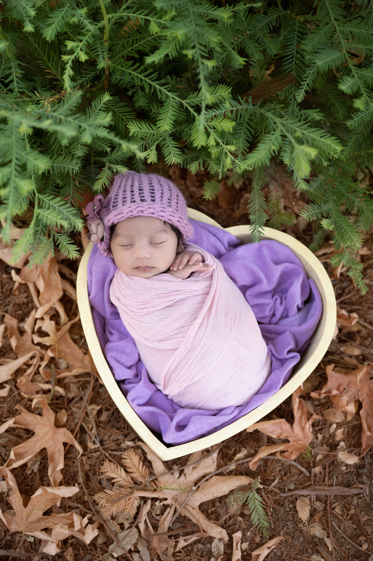 Newborn baby girl rests on heart shaped prop outdoors during fall season. Green pine and brown leaves decorate the scene.