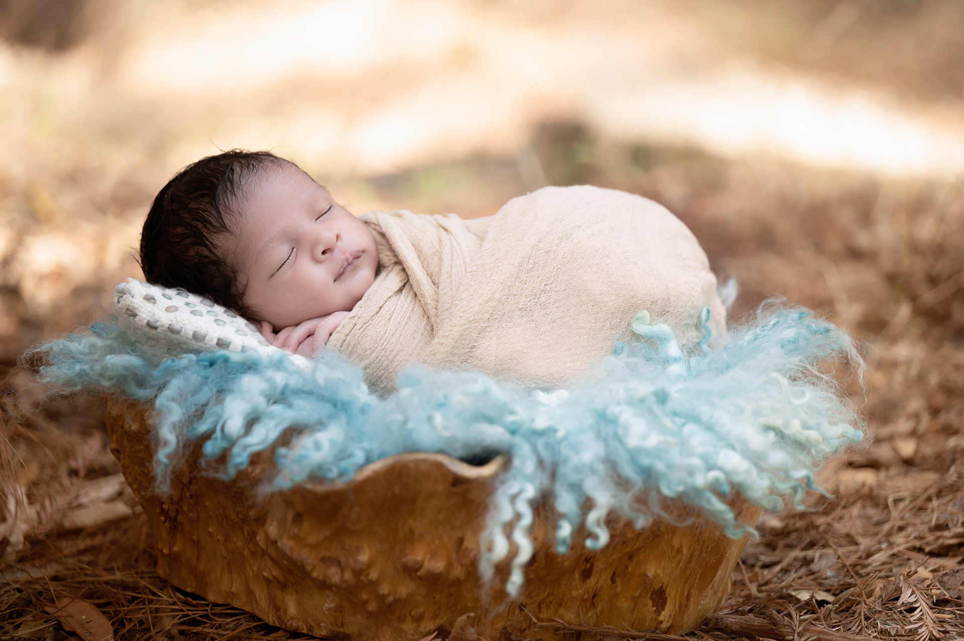 Newborn baby boy wrapped on a light brown outfit, rests on a wood prop outdoors during fall season. Blurry background.