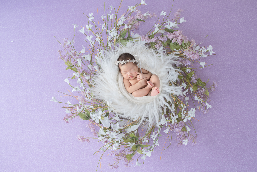 Baby wearing white headband rests on round prop decorated by fluffy white carpet and fwhite and purple flowers. Purple backdrop.