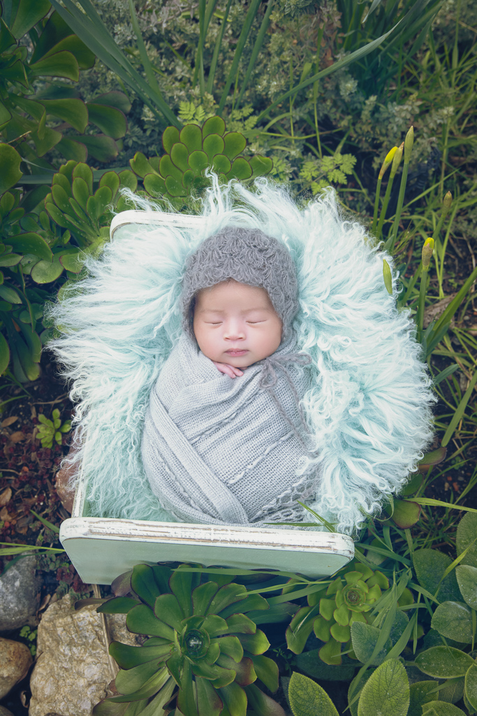 Newborn on gray hat and gray wrap rests on green bed prop outdoors. Green fluffy carpet decorates the bed. Succulents decorates de image.