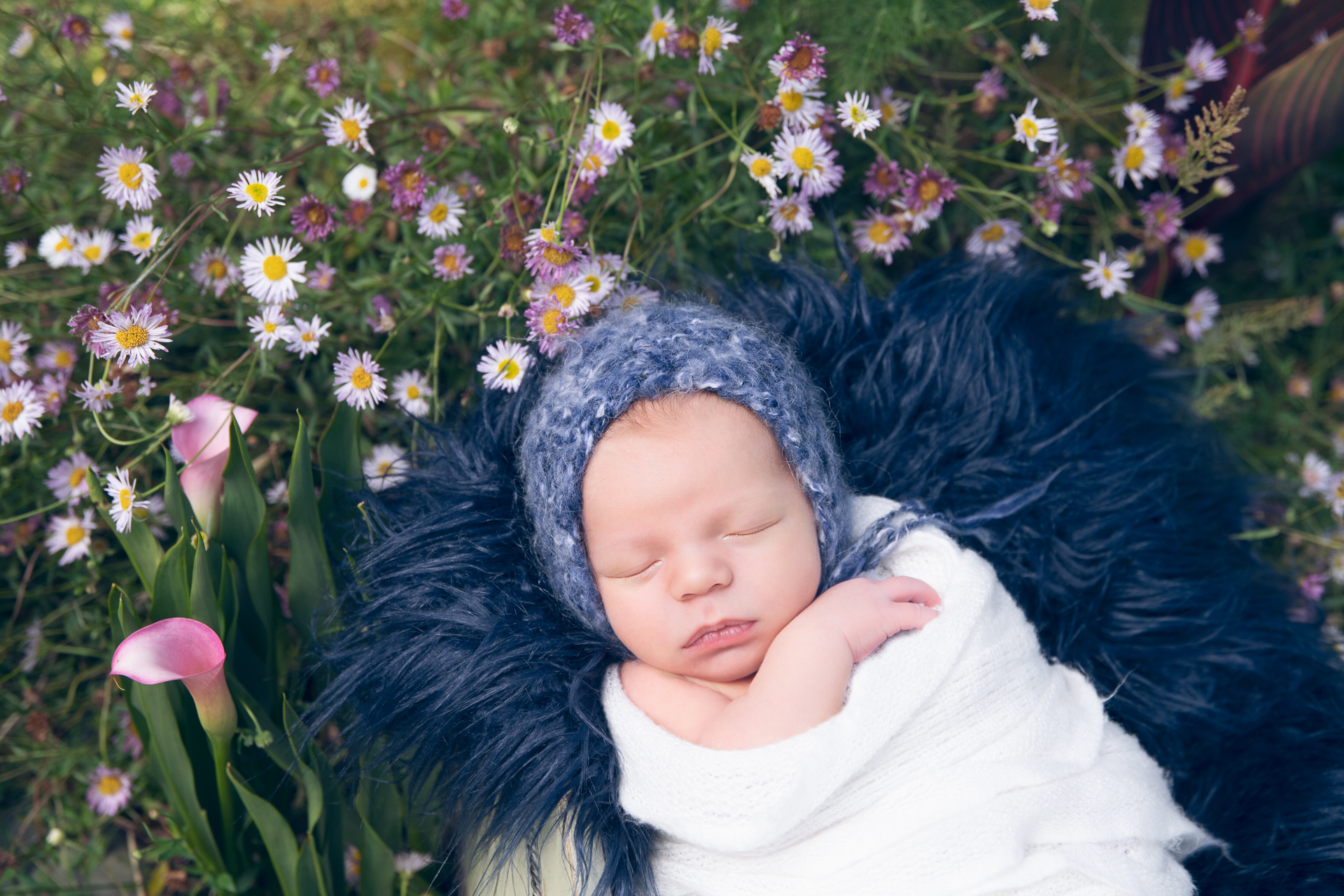 Newborn baby girl rests on wood heart shaped prop outdoors during fall season. Blurry background.