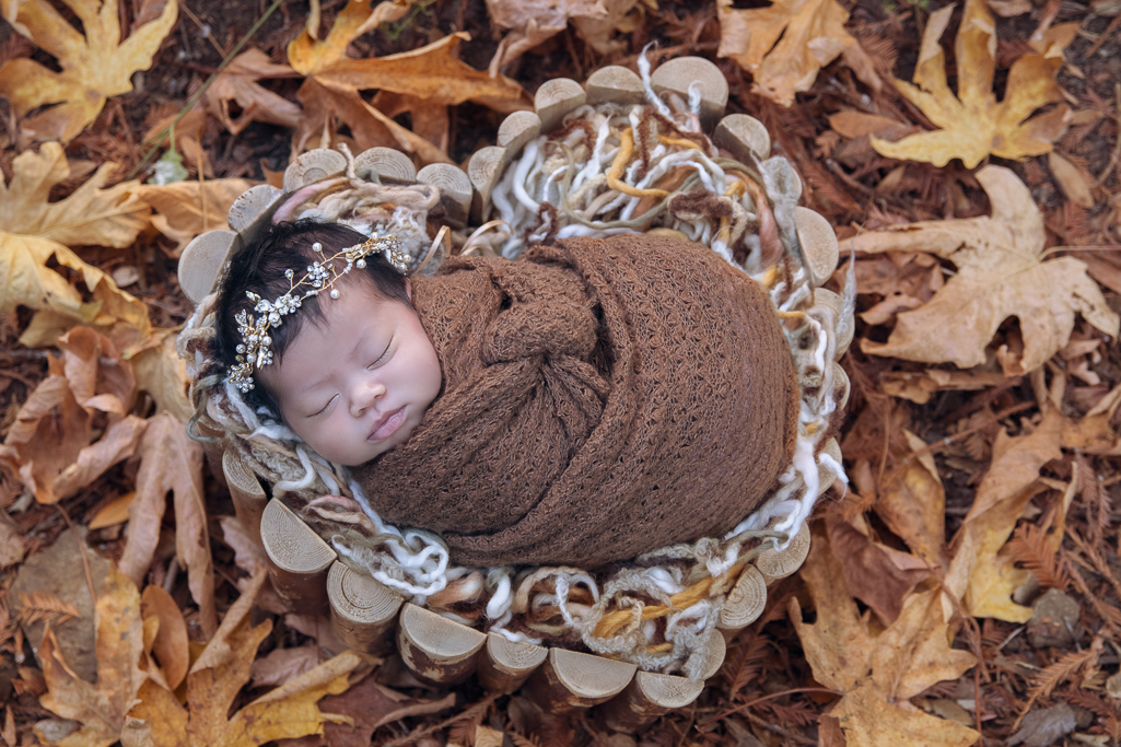 90 degrees shot shows newborn resting on heart wood shaped prop. Brown wrap, white pearl headband. Brown leaves are decorating the scene.
