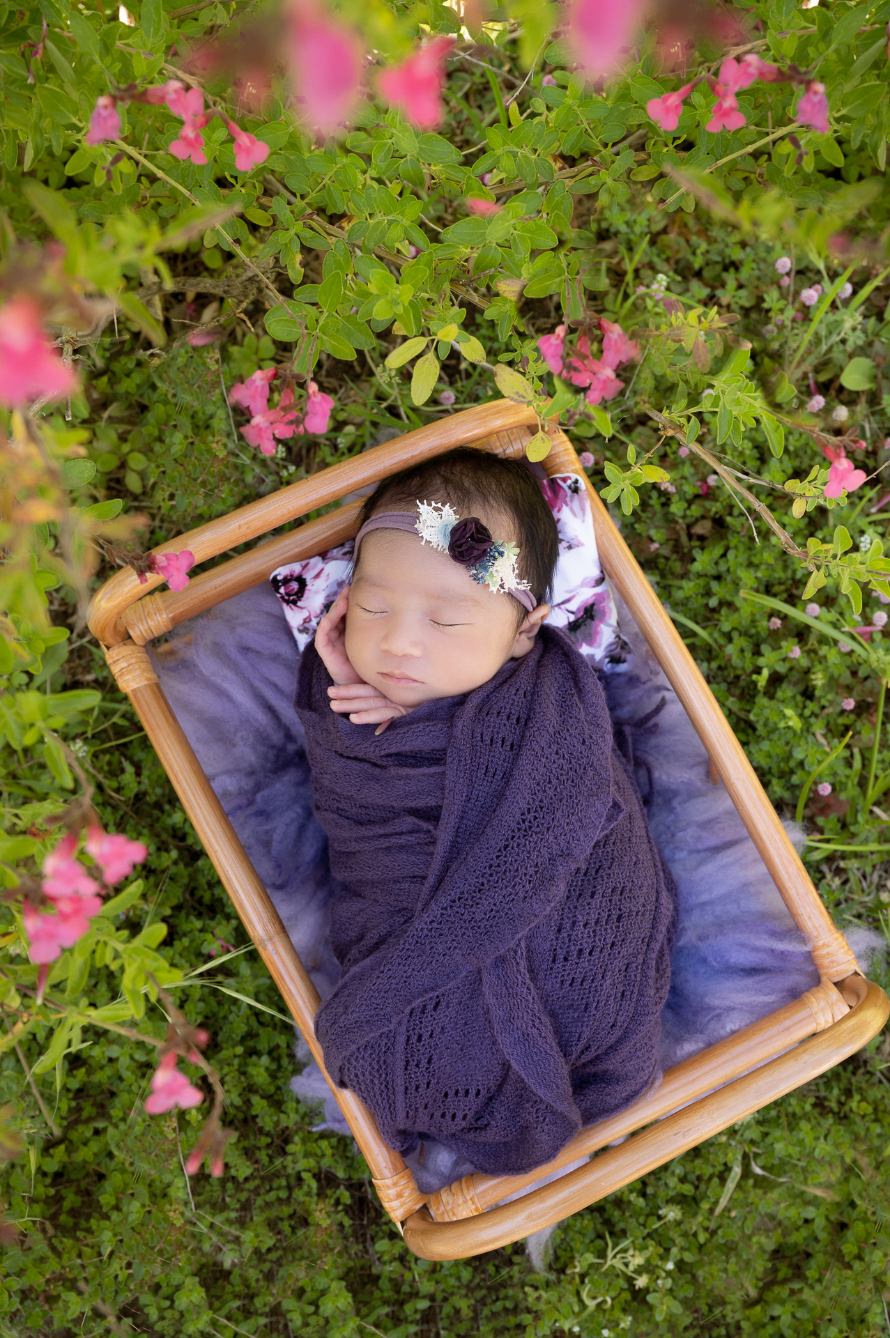 Newborn girl rests on prop outdoors, wears purple headband and purple wrap. Pink flowers and grass decorating the scene. 90 degrees angle shot.