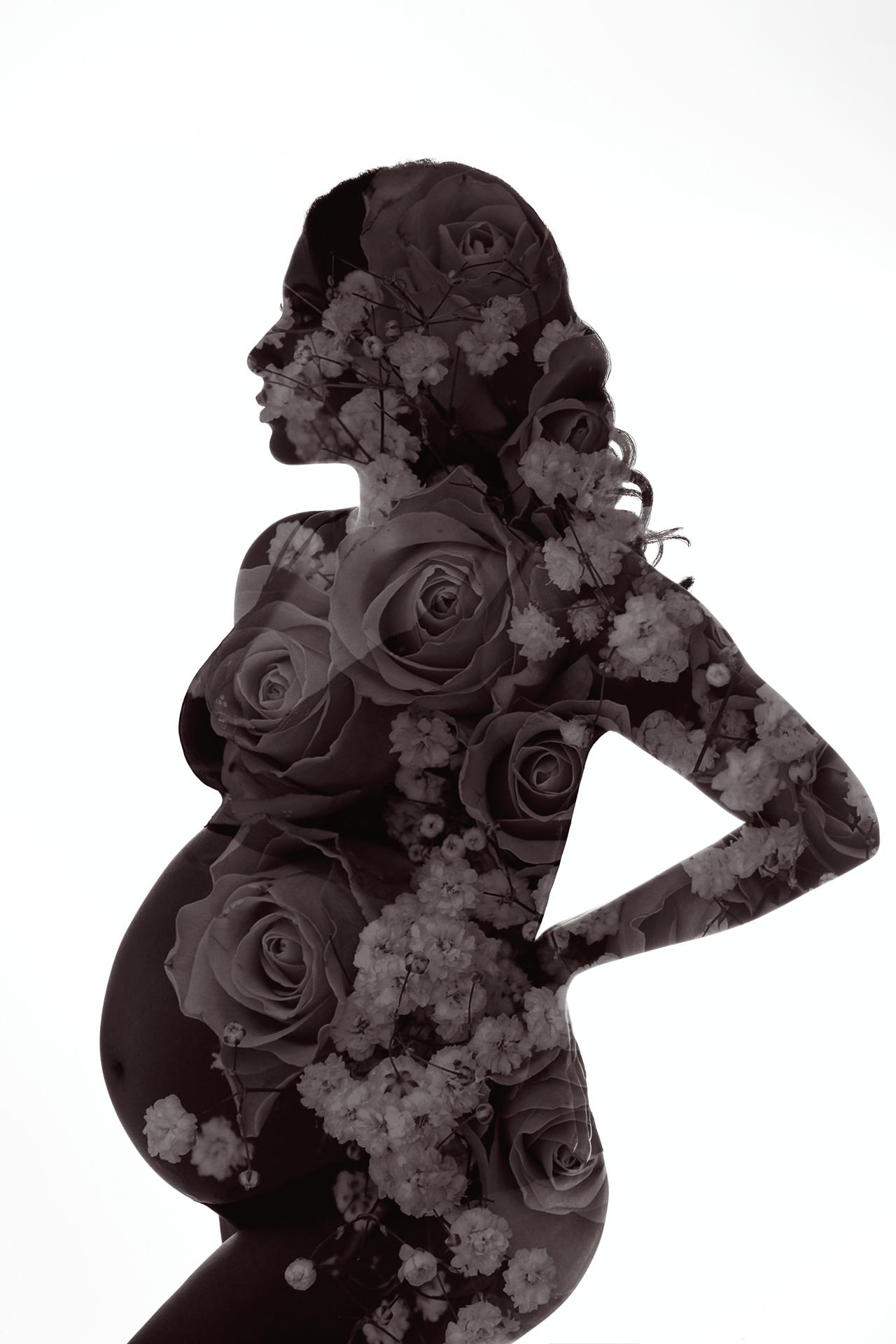 pregnant woman silhouette translucent flowers whitin it