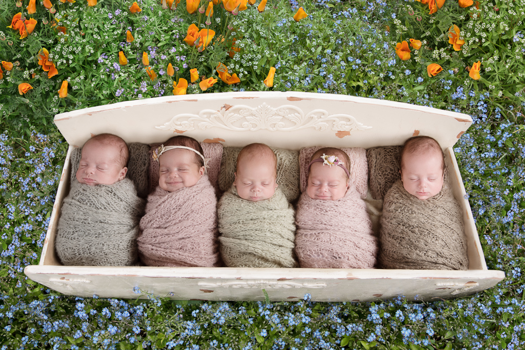 5 newborn siblings rest on wood prop bed outdoors. Orange and purple flowers decorate the scene. 3 babies wear brown wraps, 2 babies wear pink wraps and headbands.