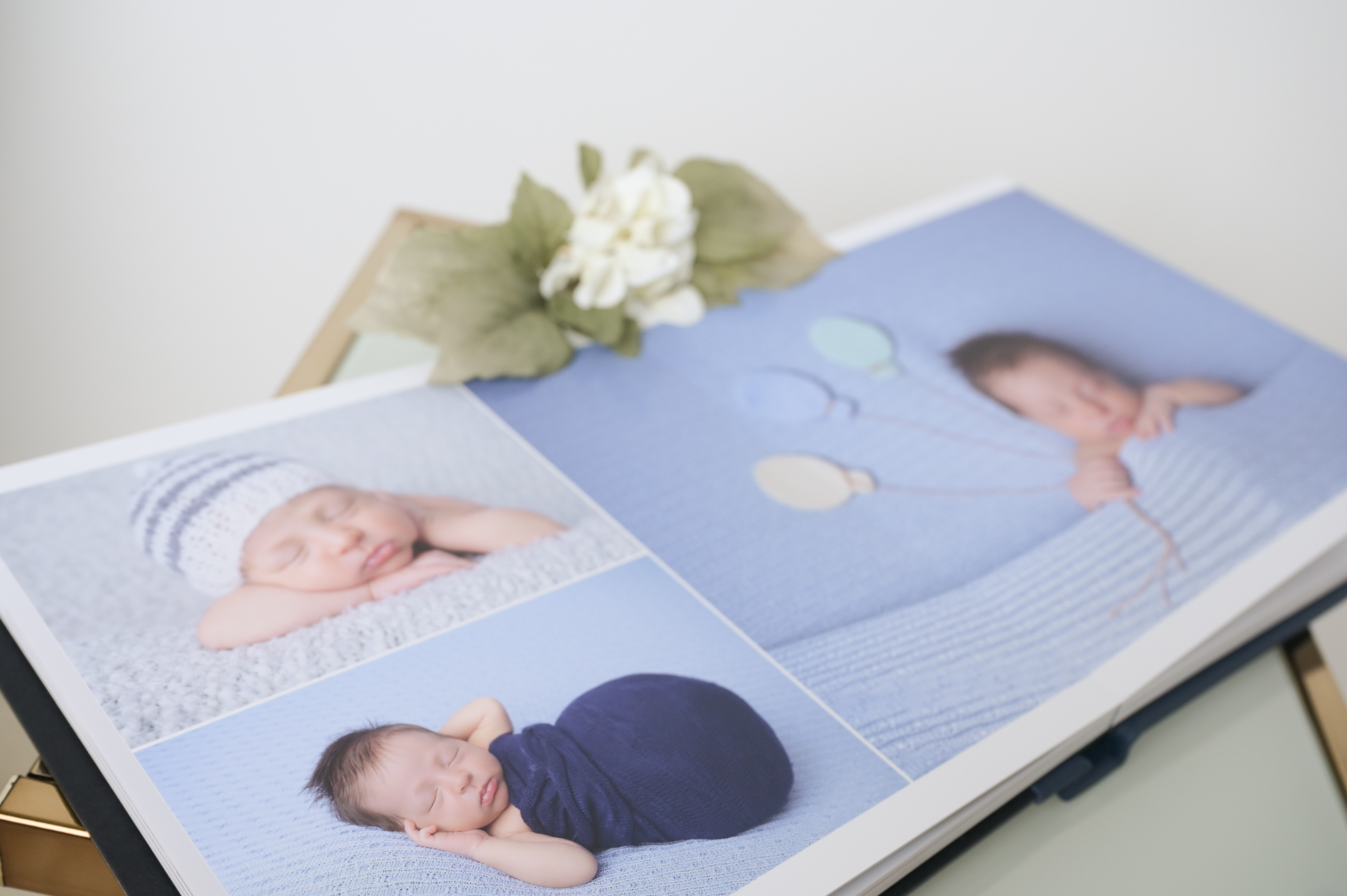 newborn photo album