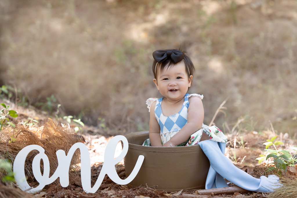 one year old baby girl posing on basket outdoors, sign says "one"
