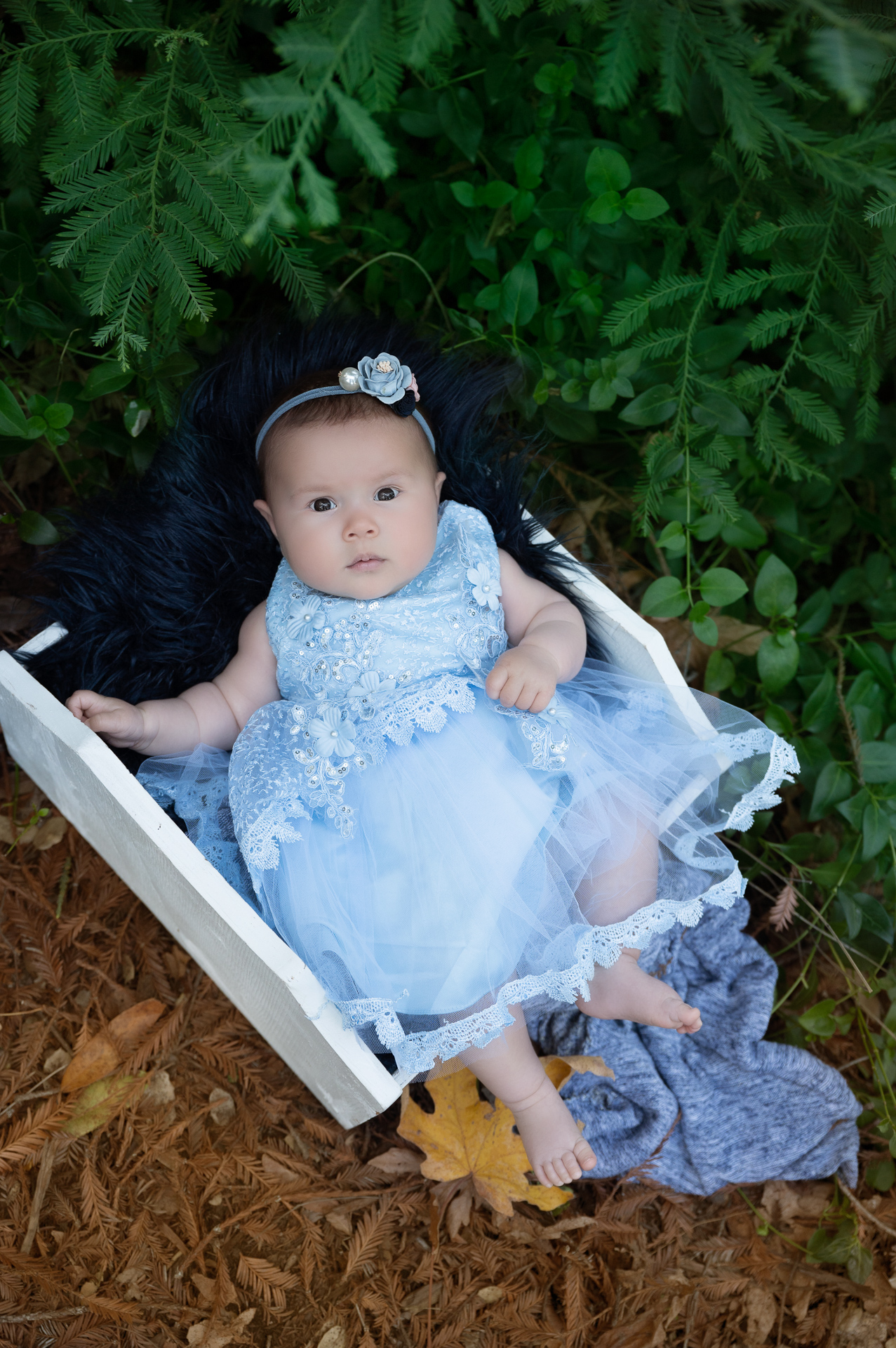 4 months baby girl posing outdoors on white basket wearing light blue dress and headband