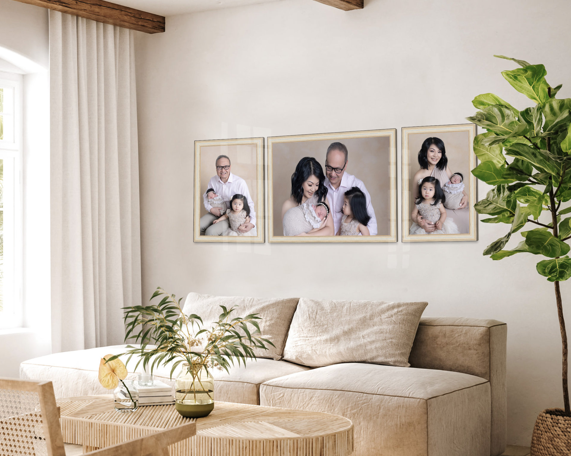 Nguyen Living Room