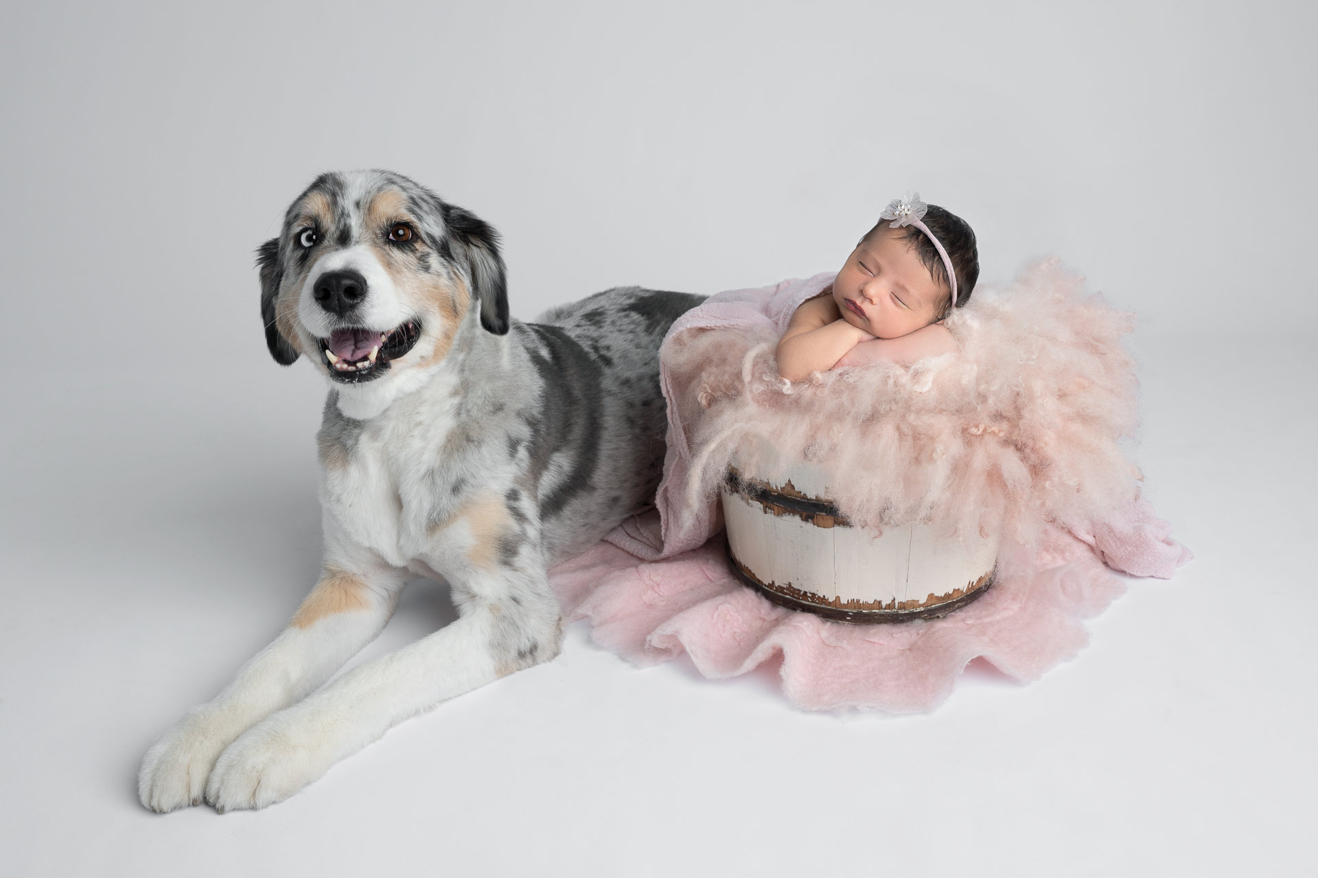 A newborn girl resting in a pink blanket next to a smiling dog on a neutral background.