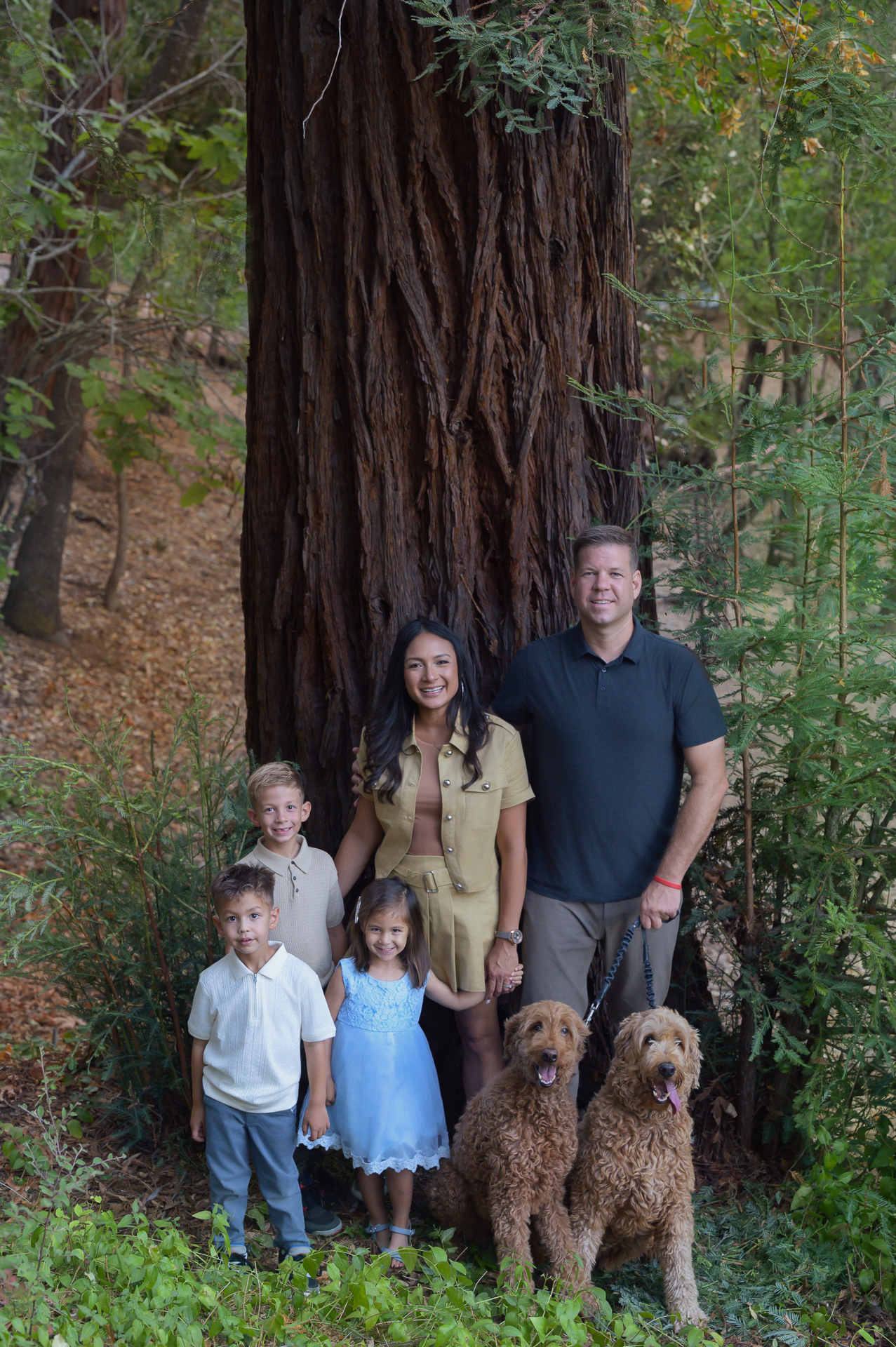 Bay Area Outdoor Family session: A family of five stands with two curly-coated dogs beneath a towering redwood in a leafy forest, smiling together.